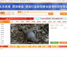云南二手货