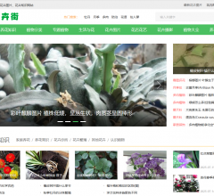 花卉街
