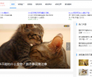 爱萌宠物站