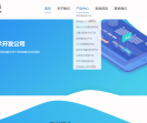 区块链系统开发公司