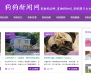 狗狗新闻网