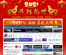 中国投影网