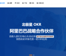 北极星OKR