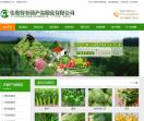深圳蔬菜配送公司