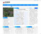 中国新闻网—央视新闻
