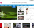图片吧