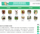 宠物狗