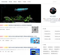 阿正水族店