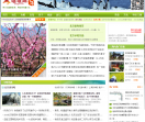 墙根网