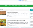 南京网