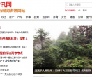 信息资讯网