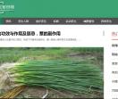 养生知识网