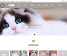 天津布偶猫天津猫舍