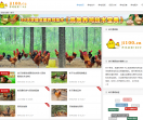林下养鸡网