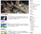 散文网