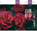 鲜花网