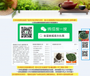 中国茶叶网-精品站