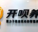 开呗养车官网