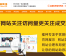 全网推广广州推神网络