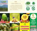 久久猕猴桃网