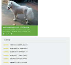狗扑网