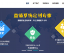 直销系统