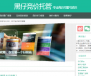 黑仔竞价托管