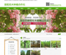 淮阳县普阳花木种植专业合作社