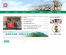 宁国市林业网