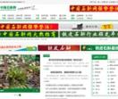 中国石斛网