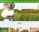 商丘市梁园区合意种植农民专业合作社