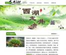 西湖龙井春茶