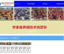 袋鼠优品APP官网