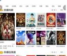 大片网