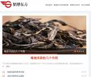 果博东方手机版