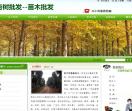 银杏树价格