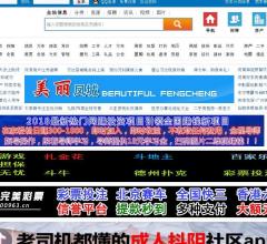 河南信息网