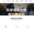 搜索引擎营销|东营软文写作|东营做网站-东营领先网站建设