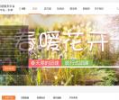 鱼跃团建