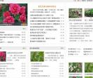 苗木养护技术