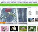 百草园养生网
