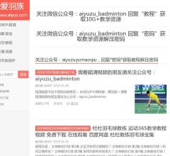 爱羽族羽毛球