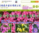 青州市实信花卉苗木