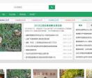 河南信息网