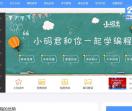 小码王