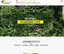 植物墙