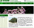 南京明发苗圃场