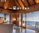 一呆网