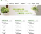 北京绿植租摆