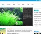 问58健康网